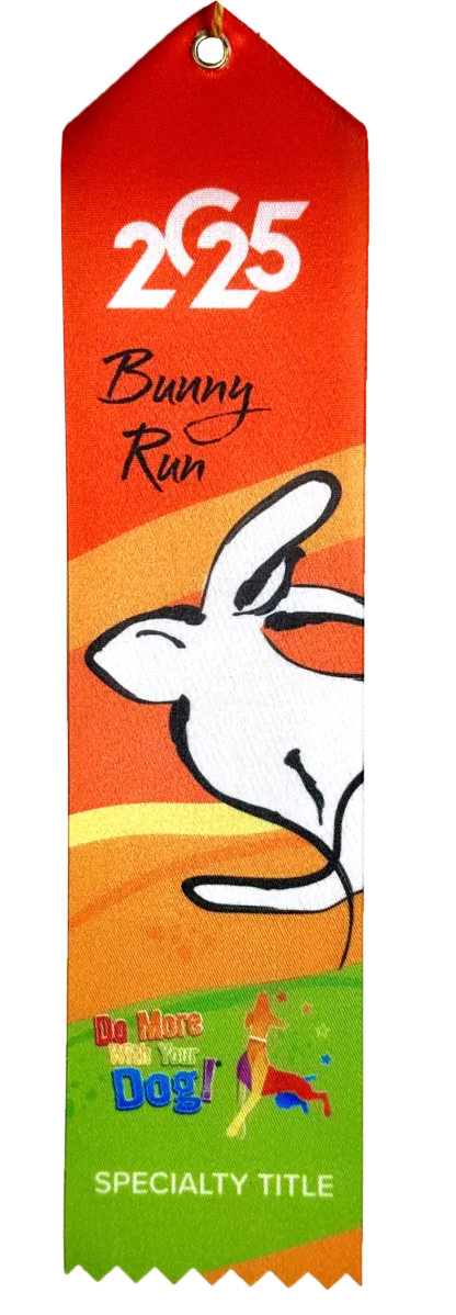 🐇Bunny Run 2025 - REGISTER - Image 5