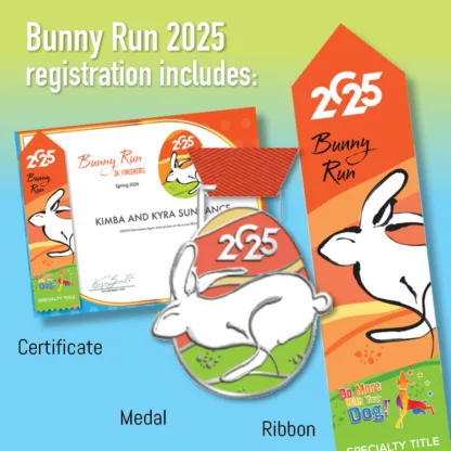 🐇Bunny Run 2025 - REGISTER - Image 2