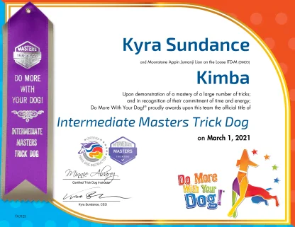 ITD-M Certificate & Ribbon