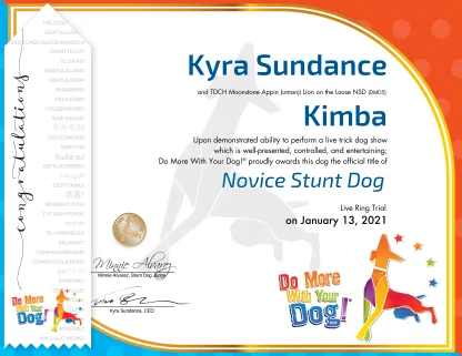 NSD Certificate & Ribbon