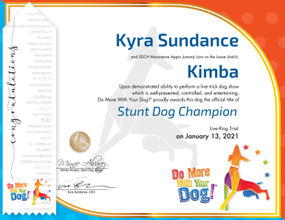 SDCH Certificate & Ribbon