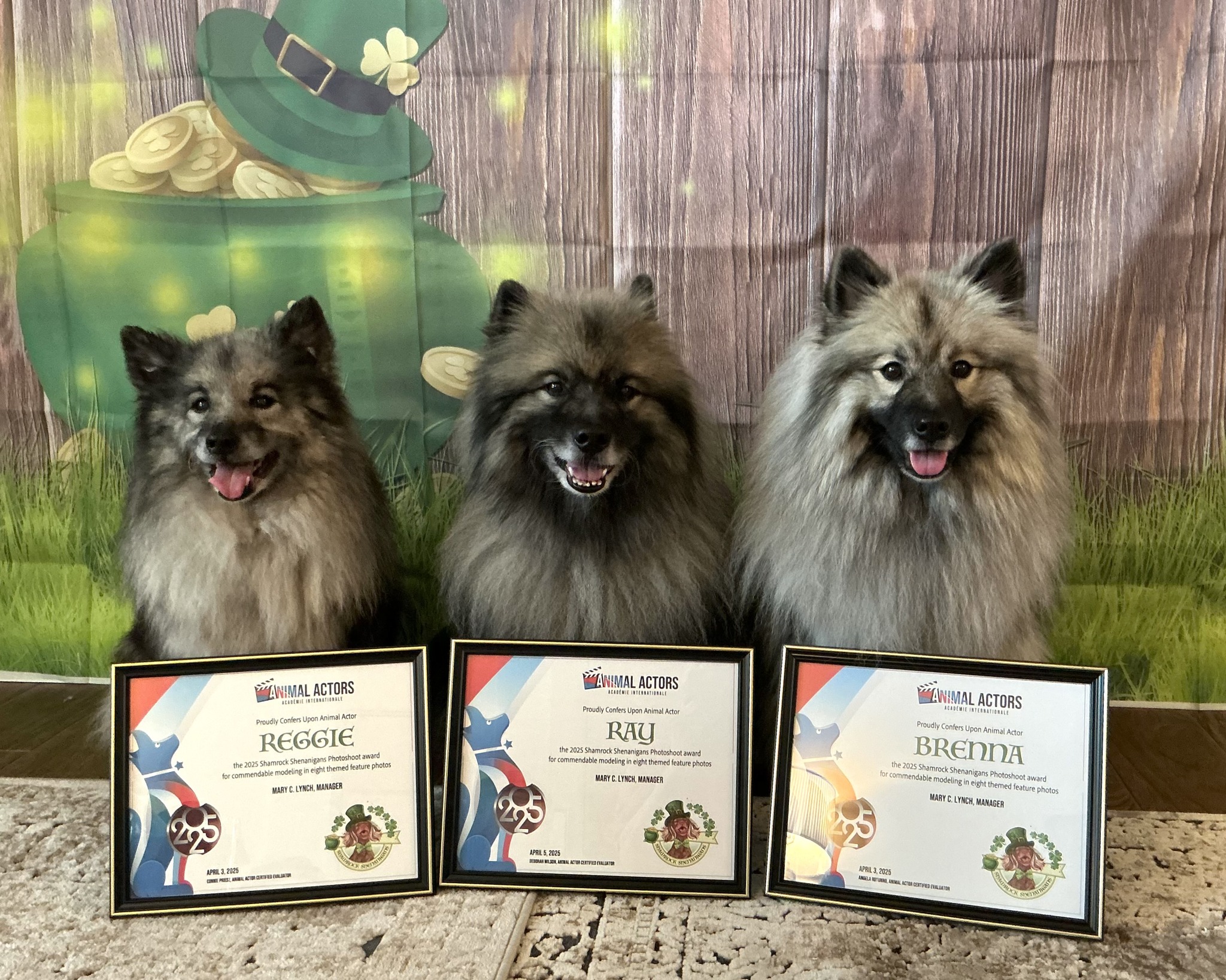 ☘️Shamrock Shenanigans 2026 - Image 10