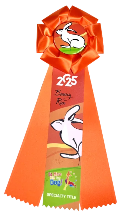 🐇Bunny Run 2025 - REGISTER - Image 4