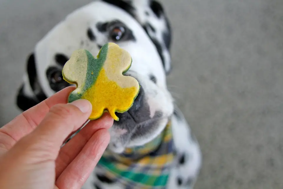 ☘️Shamrock Shenanigans 2026 - Image 12