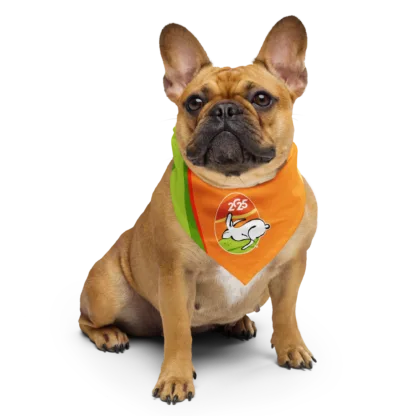 Bunny Run 2025 bandana