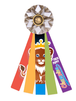 TPCH Puppy Champion Rosette
