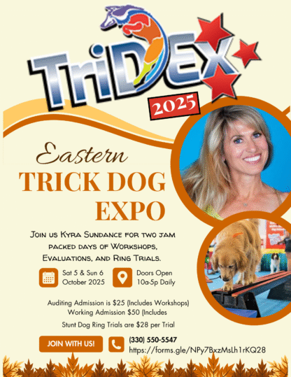 TriDEx Trick Dog Expo - Image 2