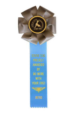 Intro Stunt Dog (ISD) Rosette