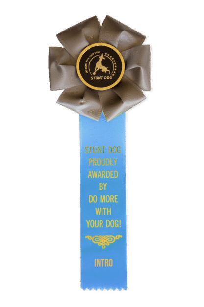 Intro Stunt Dog (ISD) Rosette
