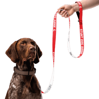 Stunt Dog Judge - Silver (Leash)