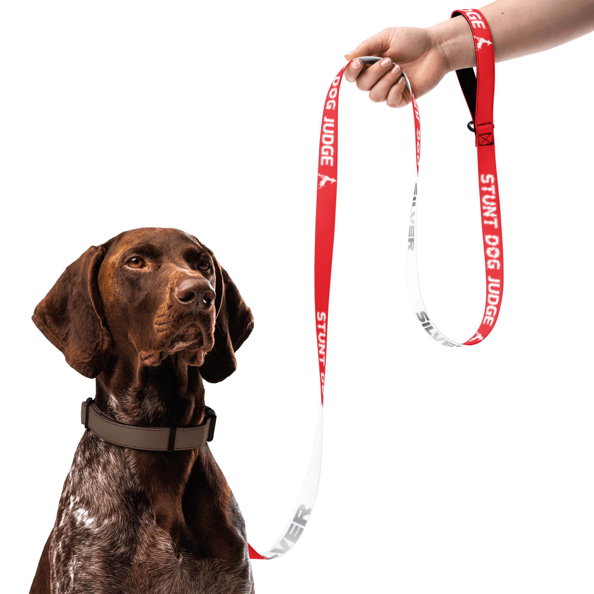 Stunt Dog Judge - Silver (Leash)