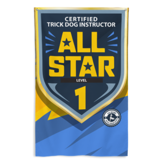 CTDI All-Star 1x