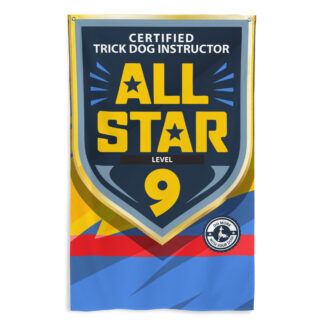 CTDI All-Star 9x