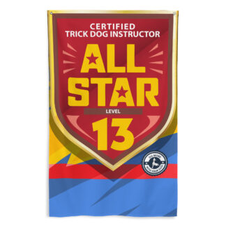 CTDI All-Star 13x
