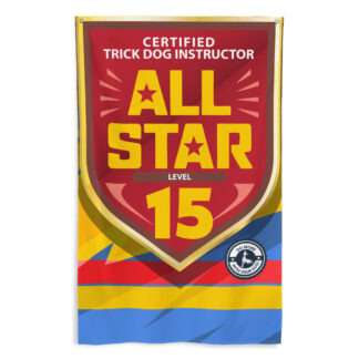 CTDI All-Star 15x