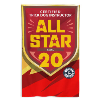 CTDI All-Star 20x