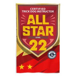 CTDI All-Star 22x