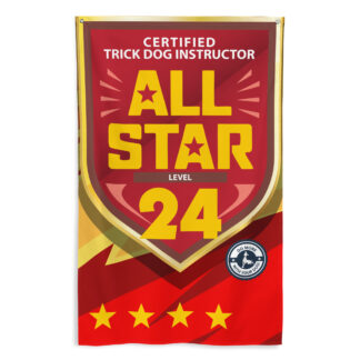 CTDI All-Star 24x