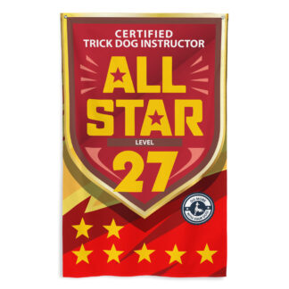 CTDI All-Star 27x