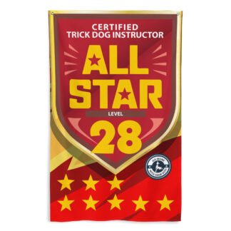 CTDI All-Star 28x
