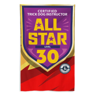 CTDI All-Star 30x