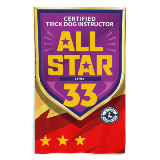 CTDI All-Star 33x