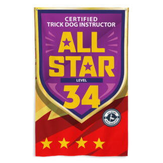 CTDI All-Star 34x