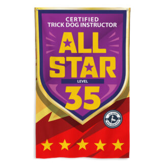 CTDI All-Star 35x