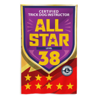 CTDI All-Star 38x