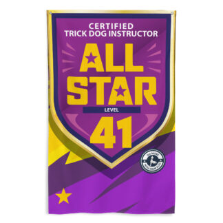 CTDI All-Star 41x
