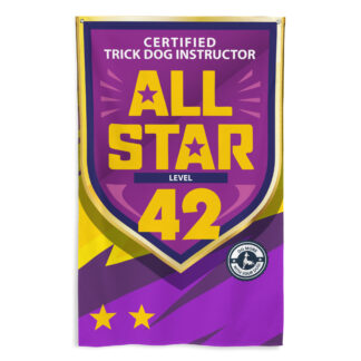 CTDI All-Star 42x