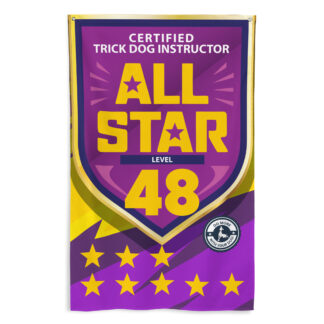 CTDI All-Star 48x