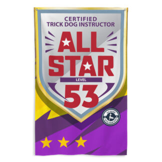 CTDI All-Star 53x