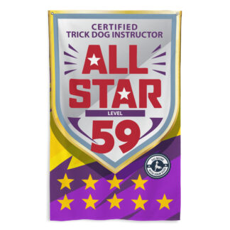 CTDI All-Star 59x
