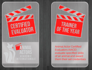 AACE [Trainer of the Year]