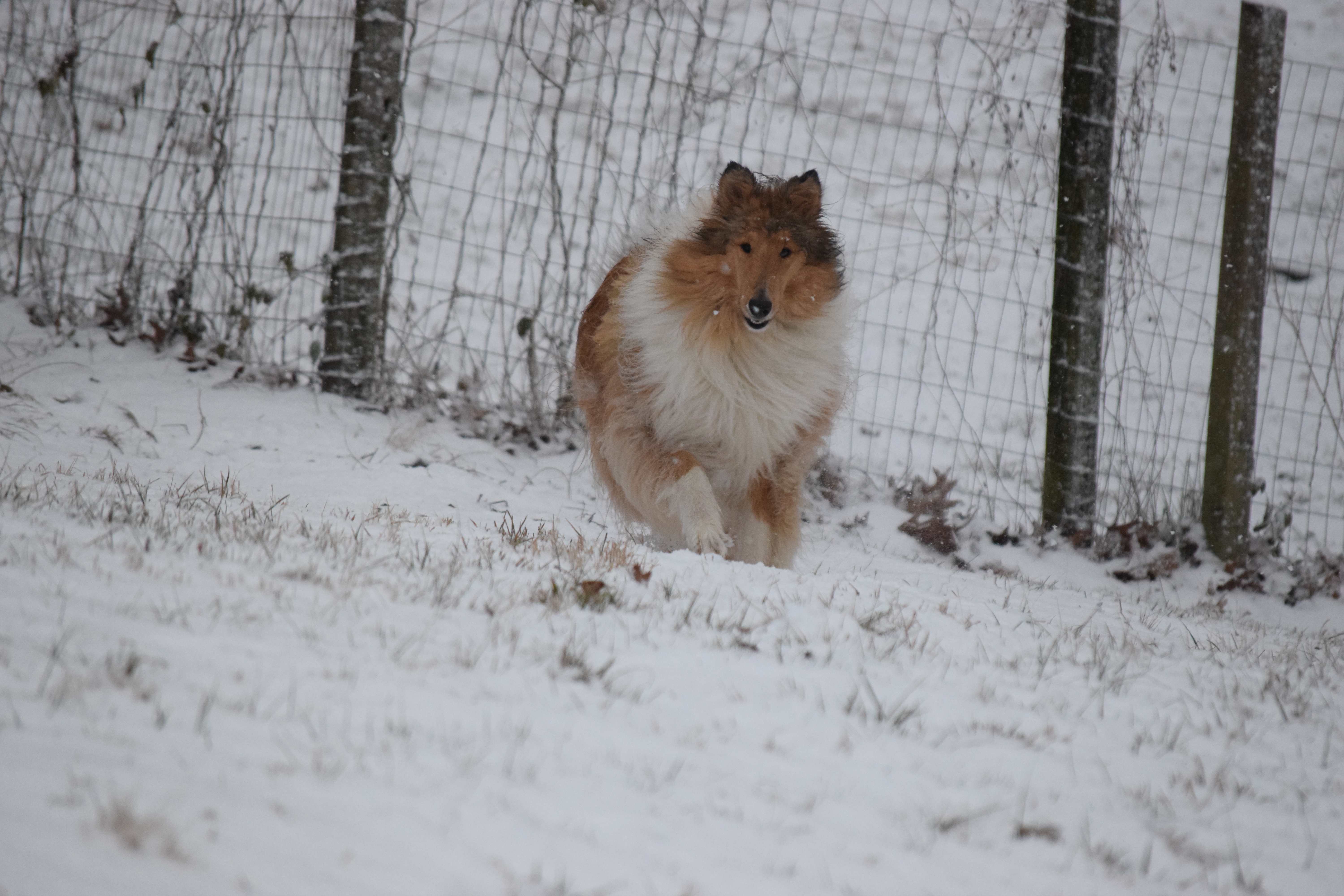 DSC_0622.jpeg