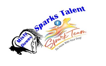 spark-team-fb-square.jpg