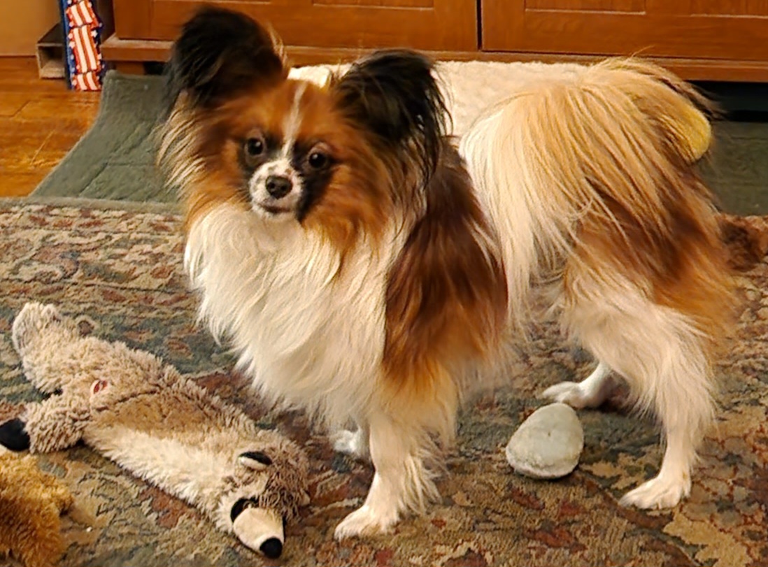 20250223_190313.jpg