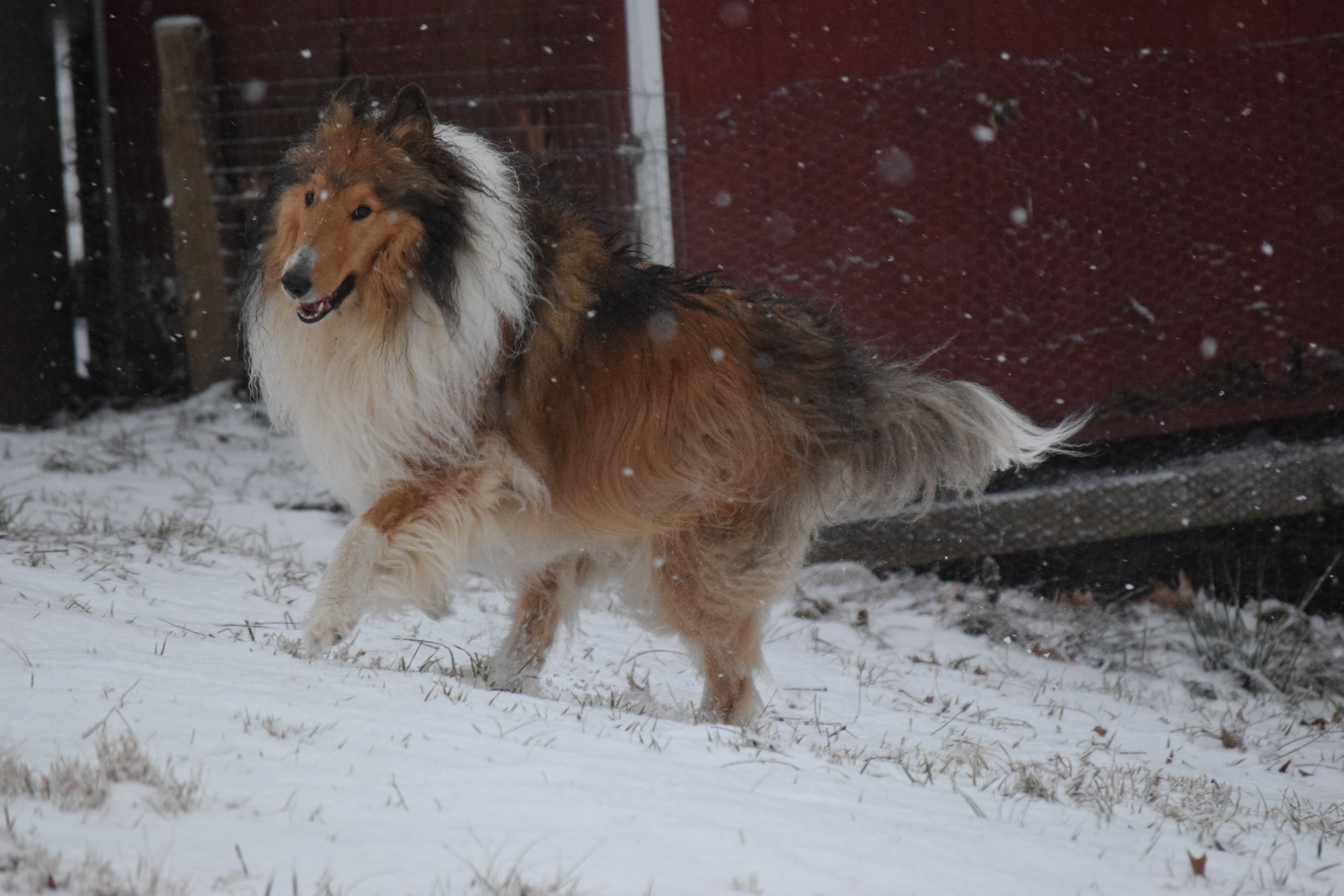 DSC_0629.jpeg