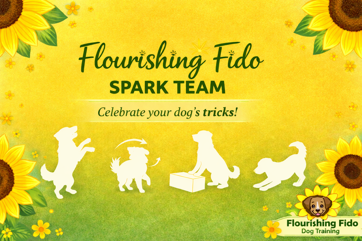 Flourishing-Fido-Spark-Team-banner.png