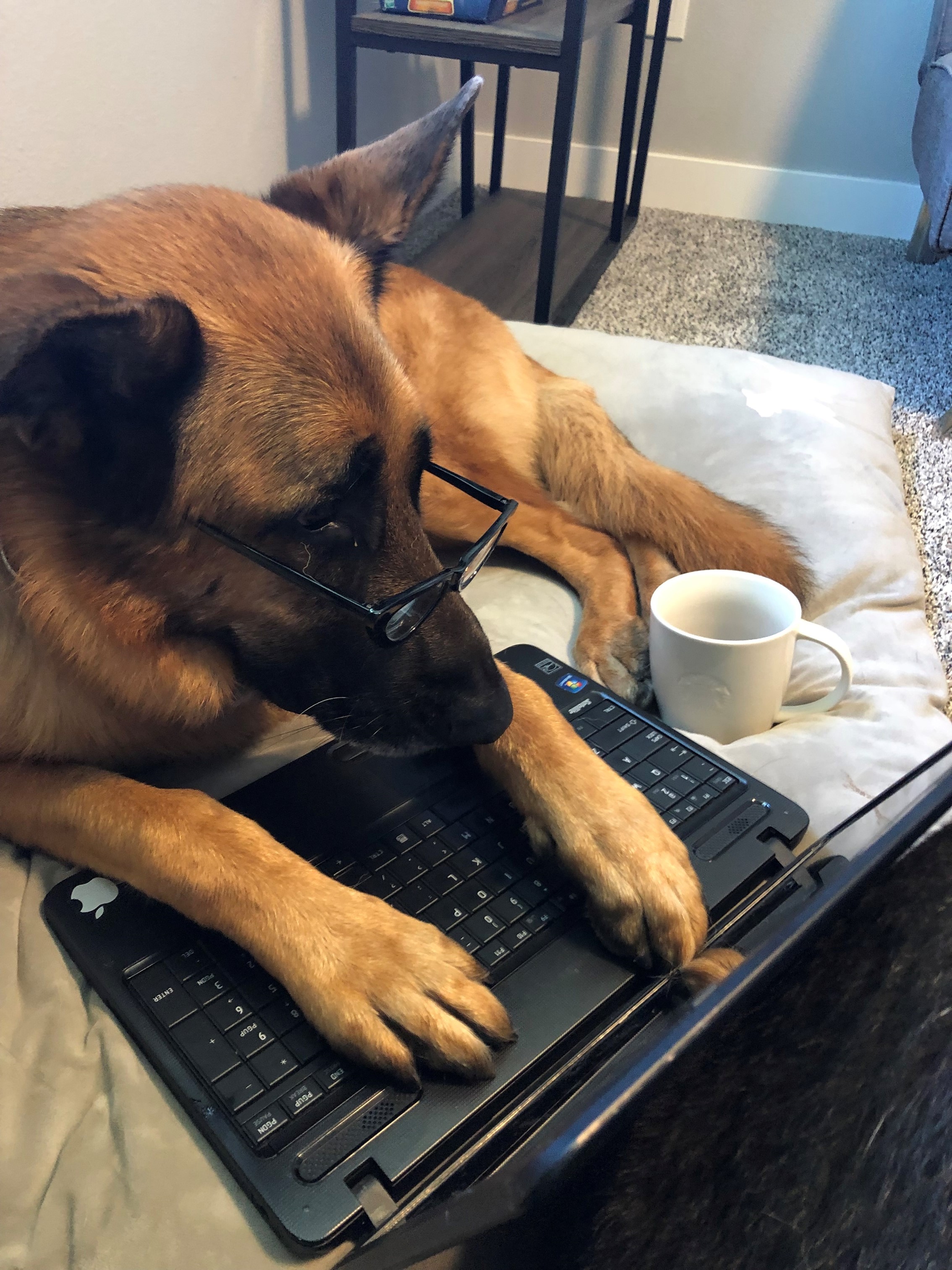 Ivan-at-work.jpg